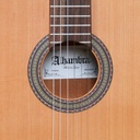 Guitarra clásica Alhambra Z-Nature T