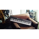 TECLADO CASIO CT-S300 CASIOTONE