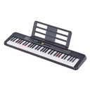 TECLADO CASIO LK-S250 CASIOTONE