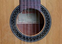 guitarra-alhambra-1c-ht-lh