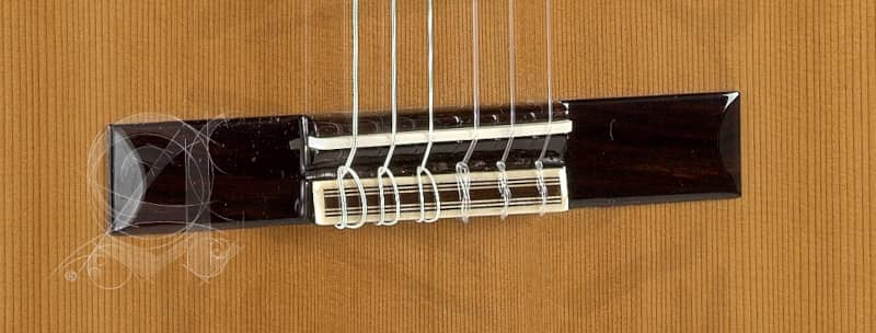 guitarra-alhambra-3c-cw-e1