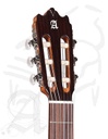 guitarra-alhambra-3c-ct-e1