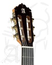 guitarra-alhambra-5p-ct-e2