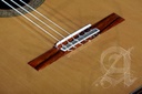 guitarra-alhambra-mengual-&-margarit-serie-nt