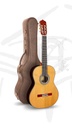 guitarra-alhambra-linea-profesional